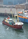 IJmuiden Harbour